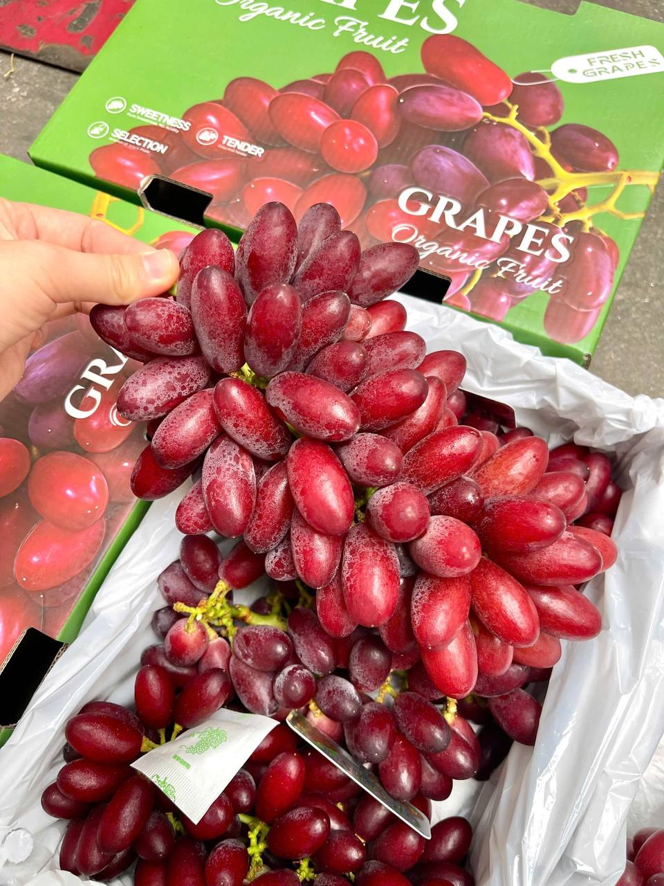 [PRD01210] Nho Đỏ Hoàng Hậu