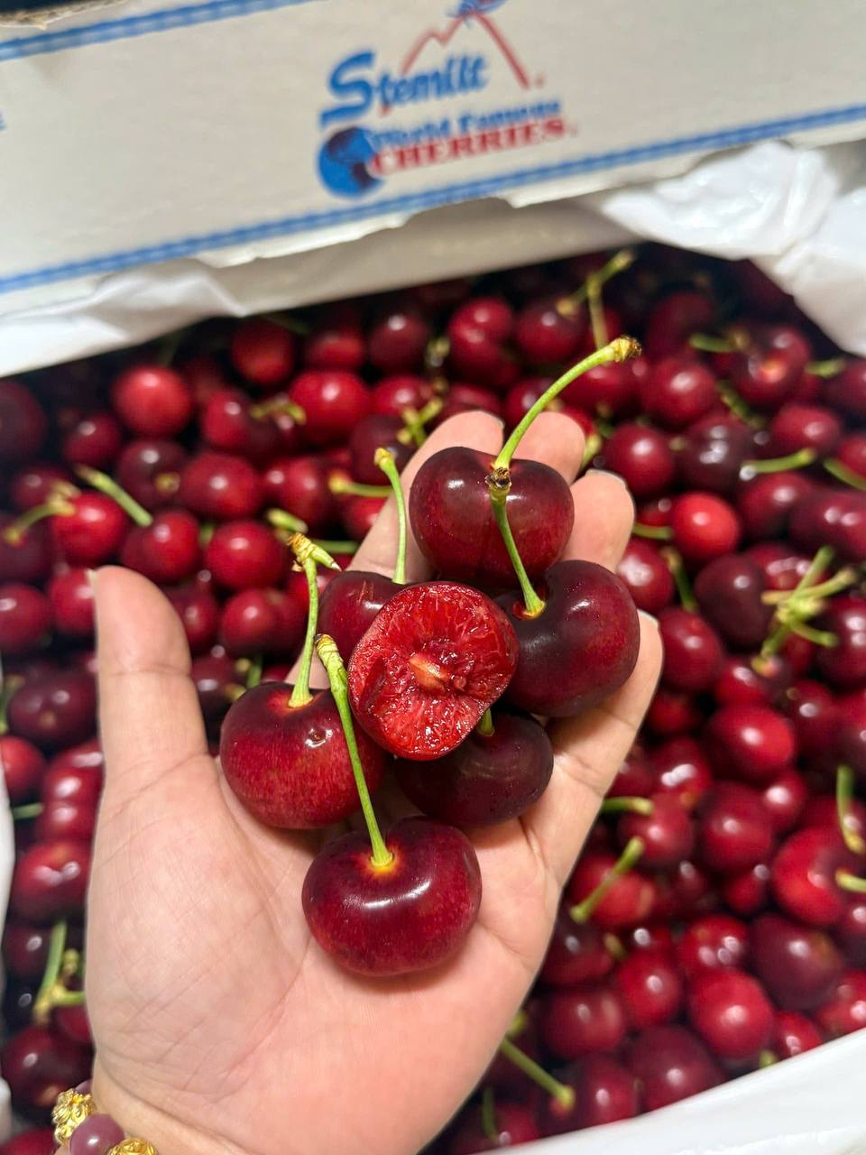 [PRD01647] Cherry Mỹ Stemilt size 9