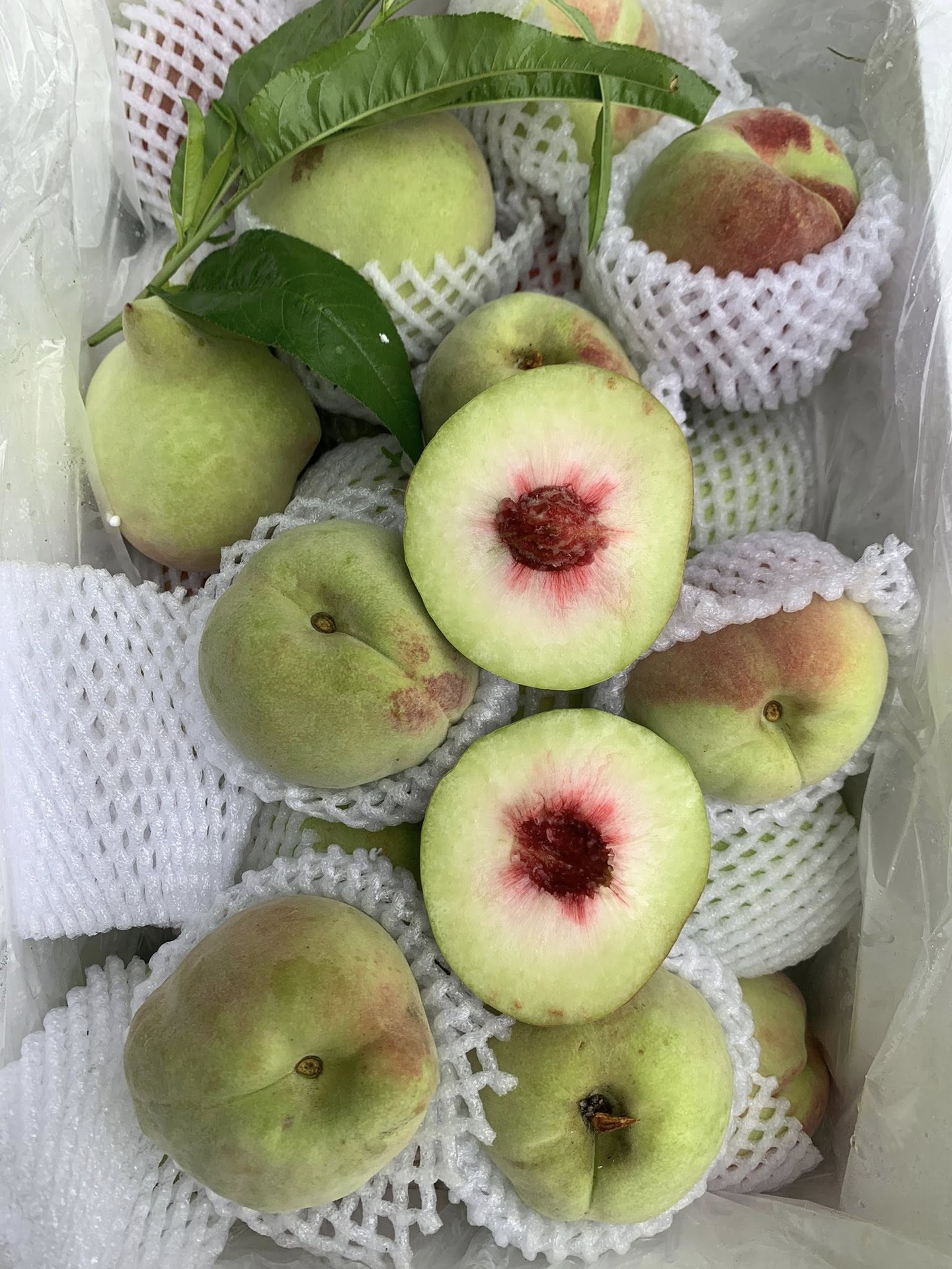 Đào Mỏ Quạ