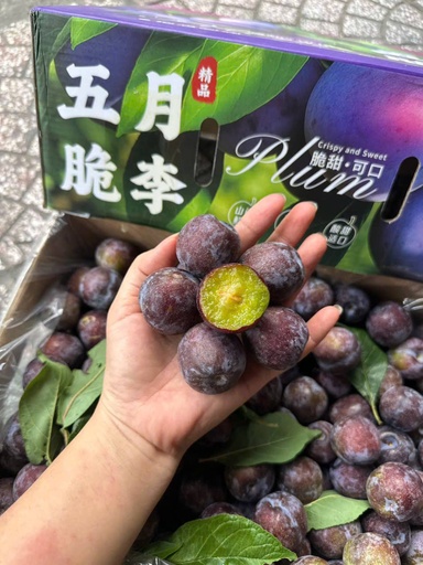 Mận Đường Tím 