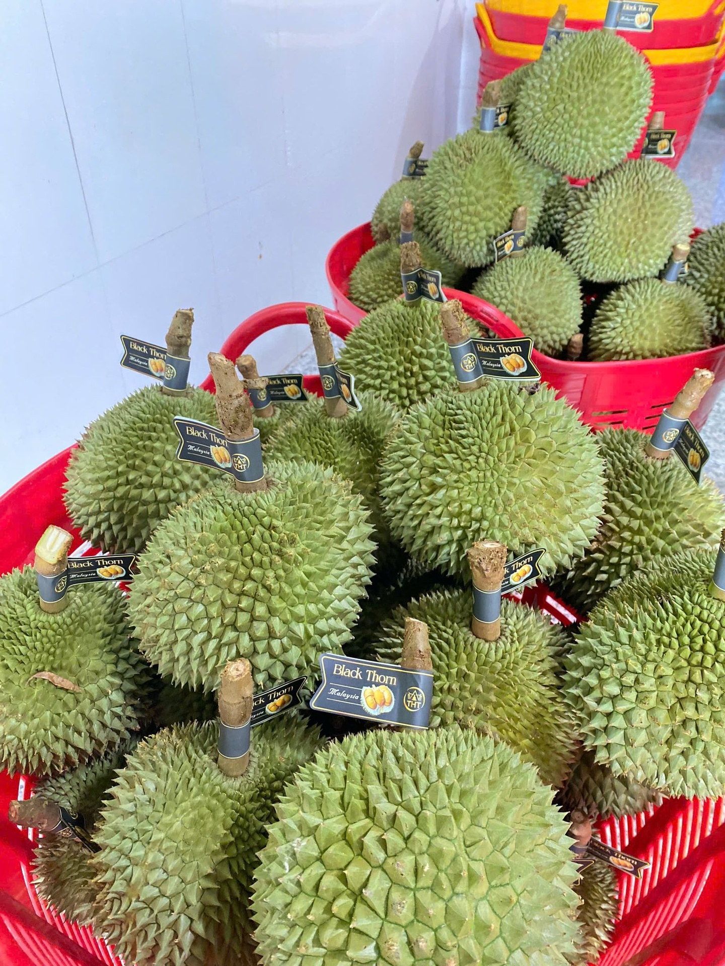 Sầu Riêng Black Thorn Hàng A ( 280k/kg Trái )